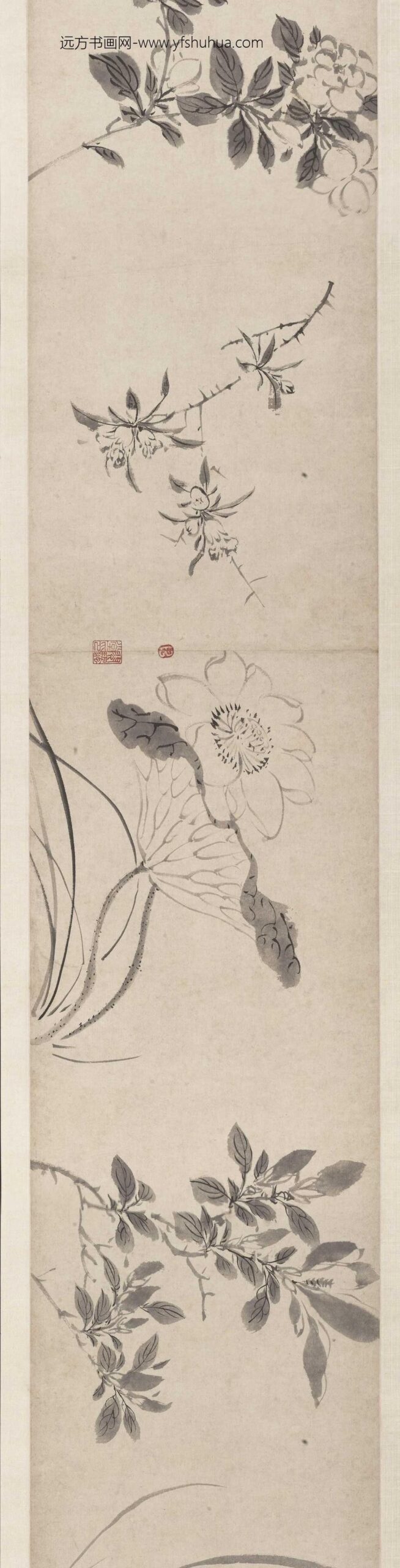 陈淳（道复）_书画合卷_