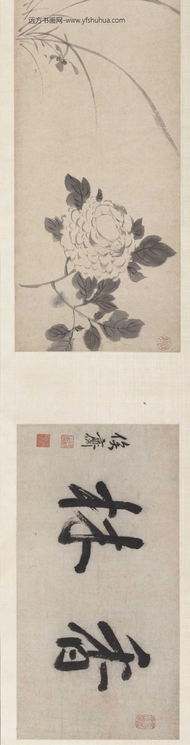 陈淳（道复）_书画合卷_