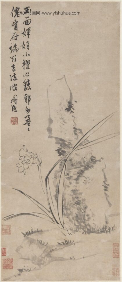 陈淳（道复） 倚石水仙图轴.jpg