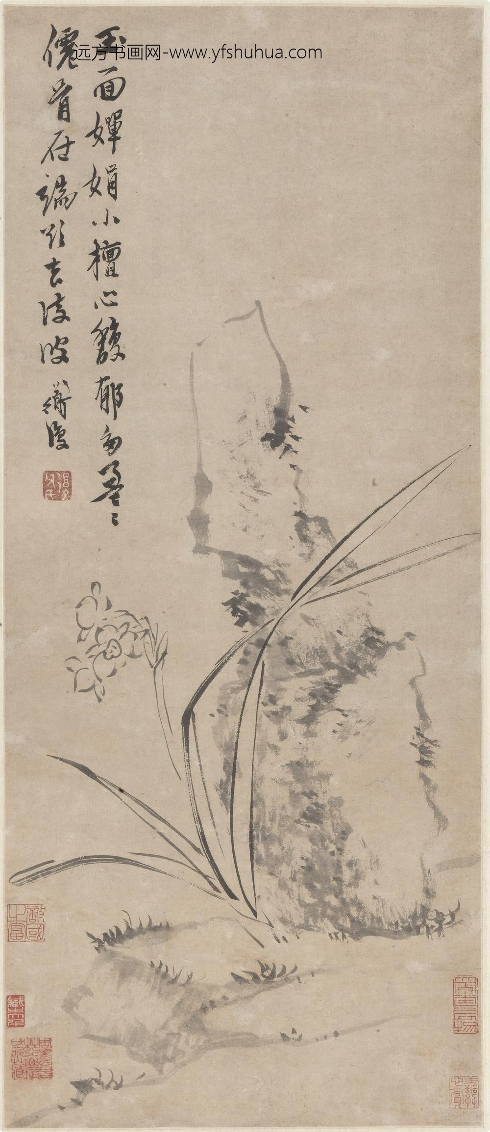 陈淳（道复）_倚石水仙图轴