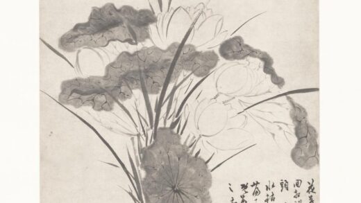 陈淳（道复） 商尊白莲图轴.jpg