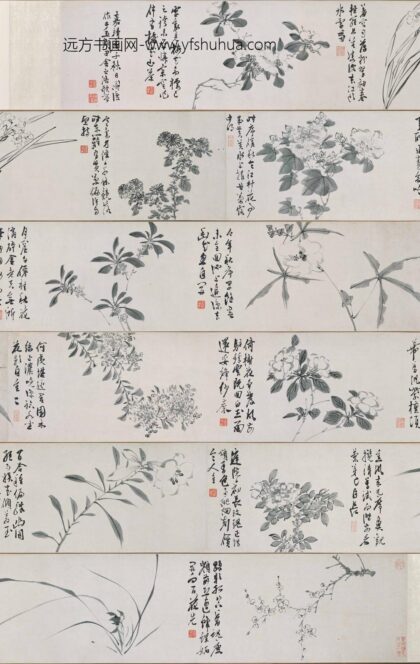 陈淳（道复） 墨花十二种图卷.jpg