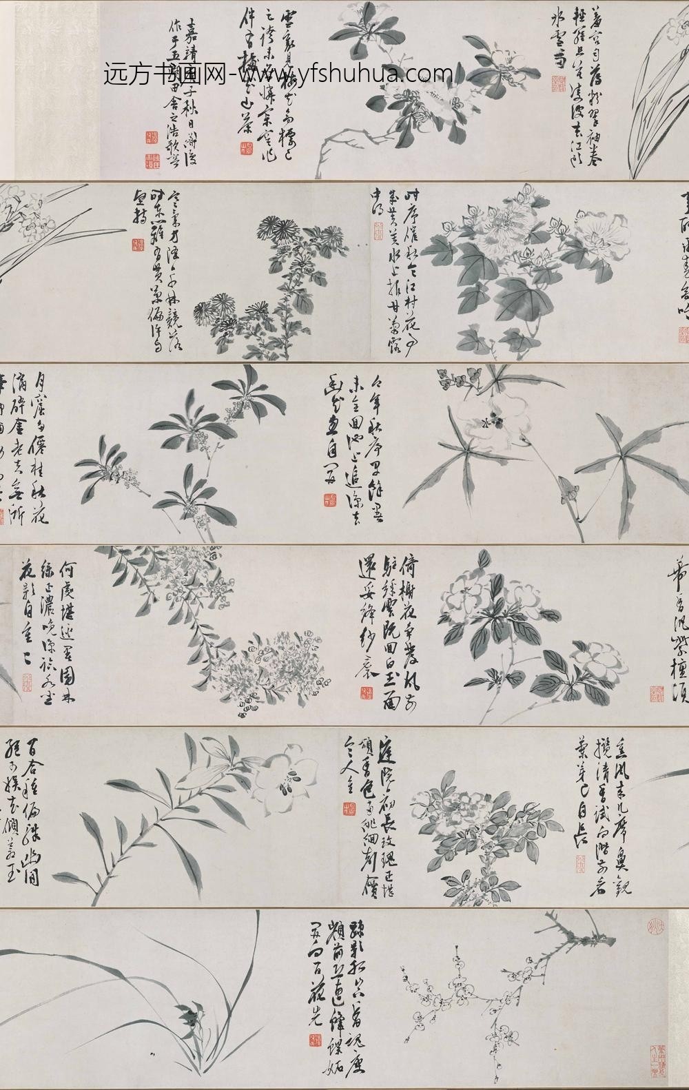 陈淳（道复）_墨花十二种图卷