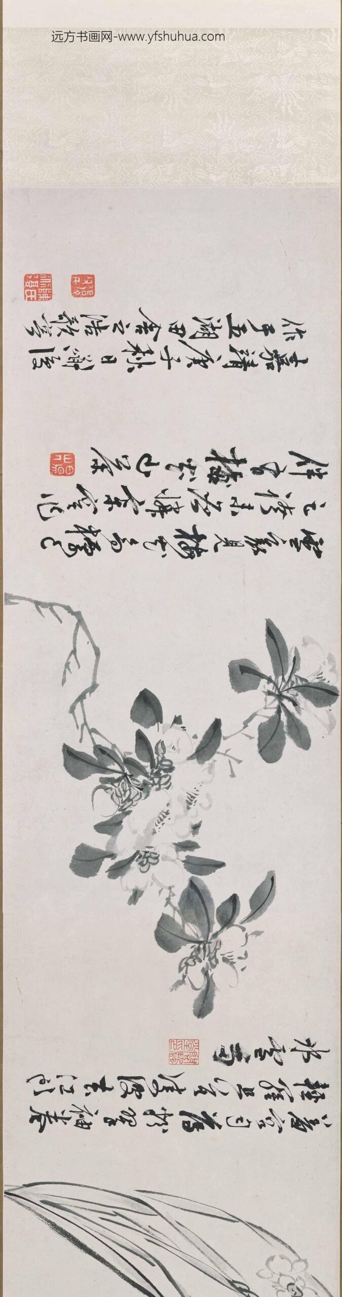 陈淳（道复）_墨花十二种图卷_