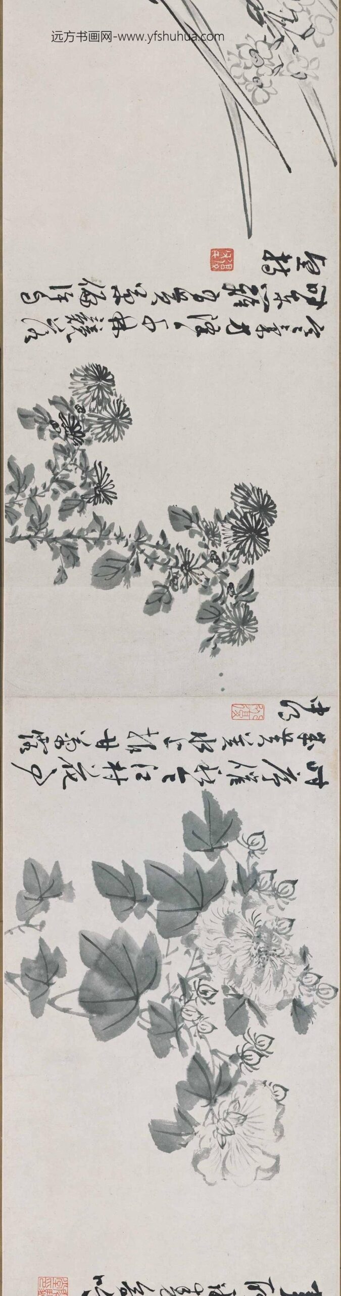 陈淳（道复）_墨花十二种图卷_