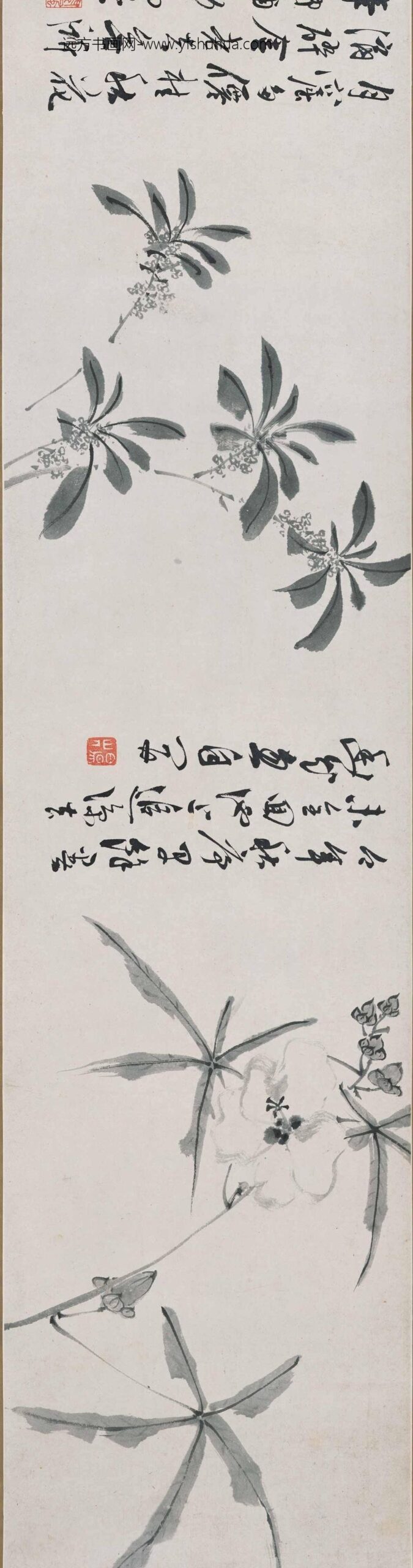 陈淳（道复）_墨花十二种图卷_