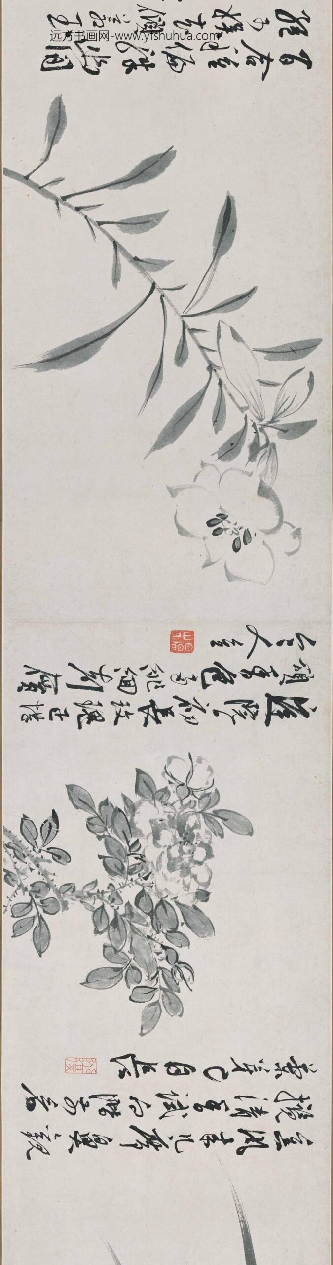 陈淳（道复）_墨花十二种图卷_