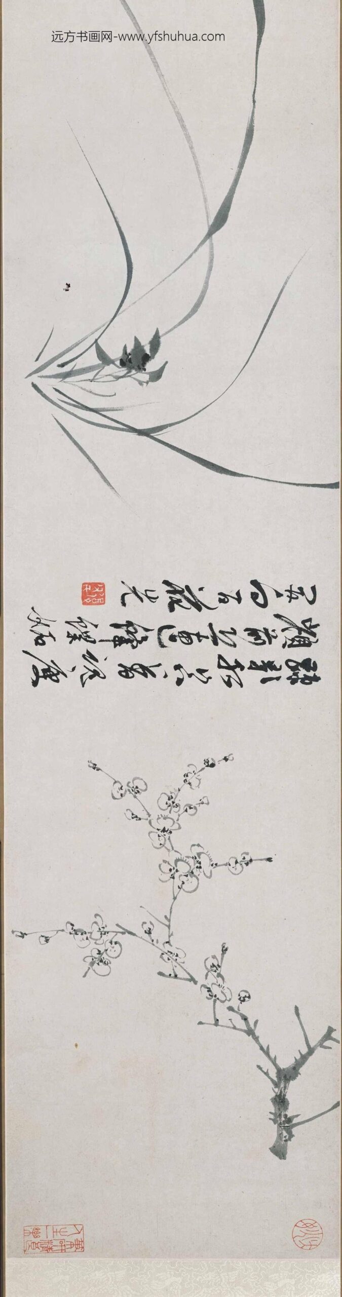 陈淳（道复）_墨花十二种图卷_