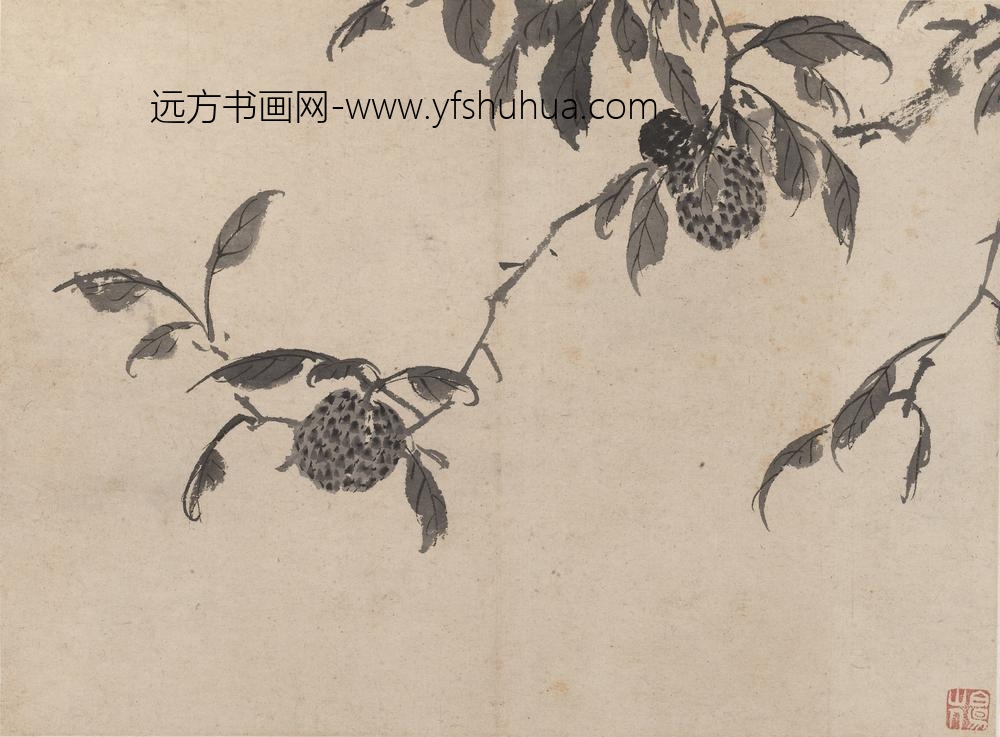 陈淳（道复）_墨花图册_