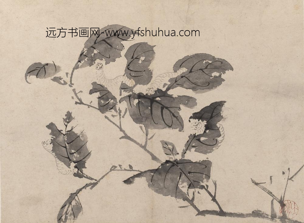 陈淳（道复）_墨花图册_