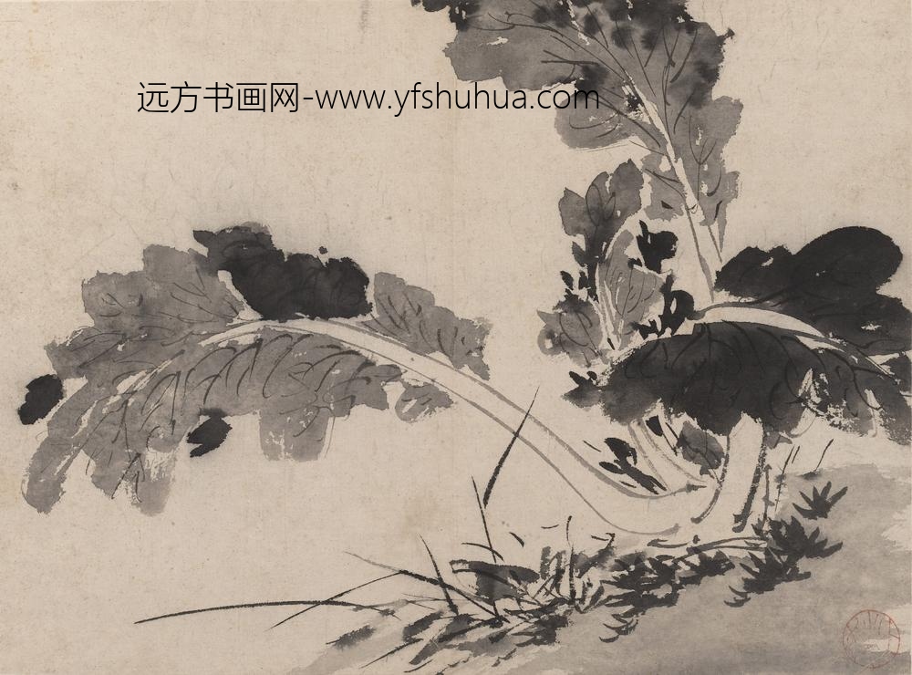 陈淳（道复）_墨花图册_