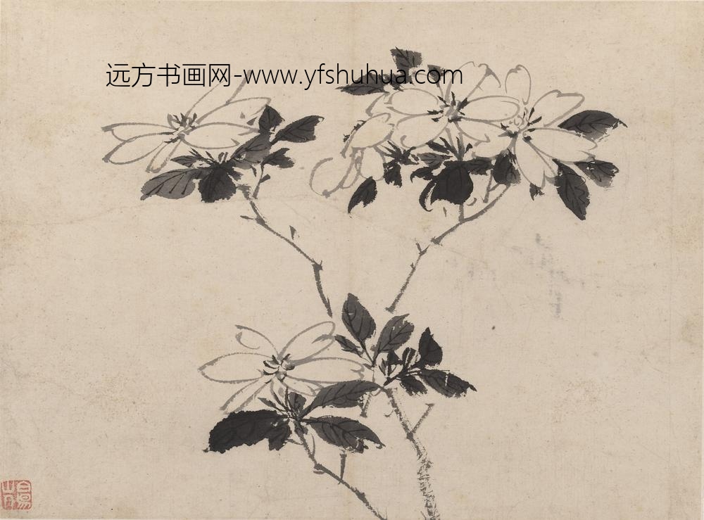 陈淳（道复）_墨花图册_