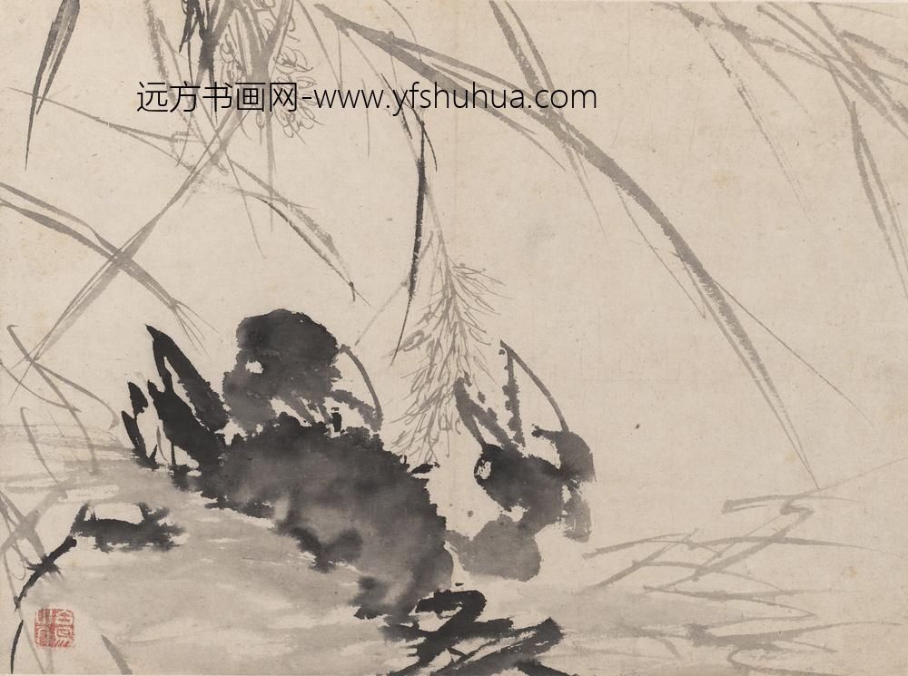 陈淳（道复）_墨花图册_