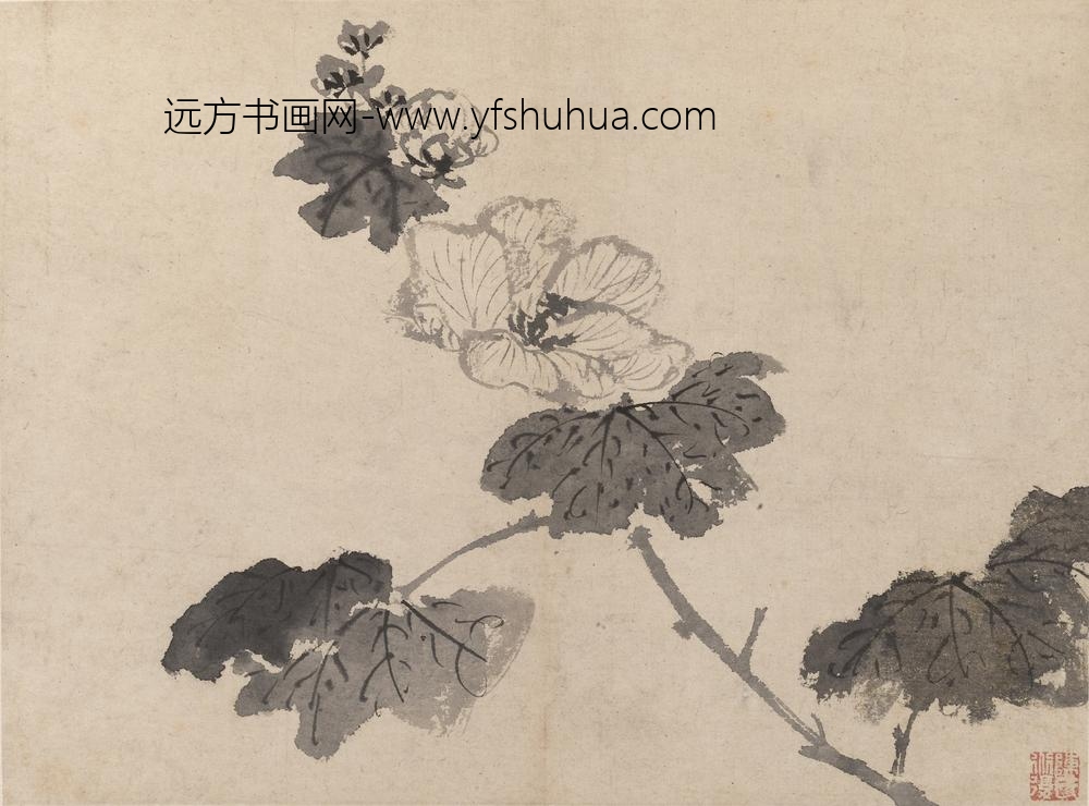 陈淳（道复）_墨花图册_