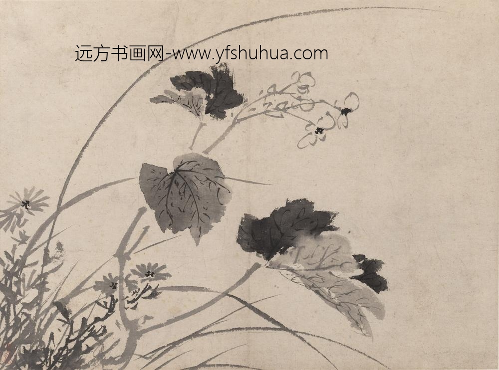 陈淳（道复）_墨花图册_