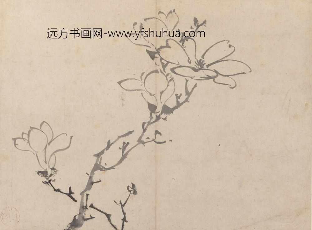 陈淳（道复）_墨花图册_