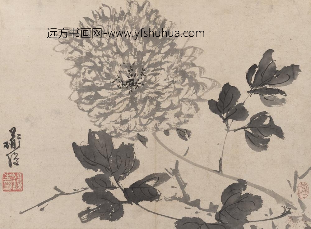 陈淳（道复）_墨花图册_