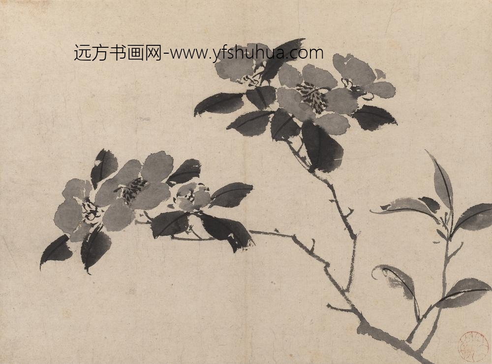 陈淳（道复）_墨花图册_