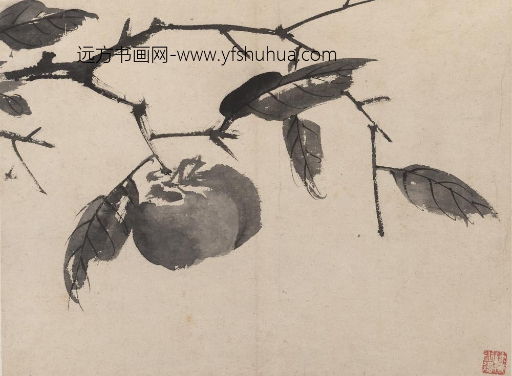 陈淳（道复）_墨花图册_