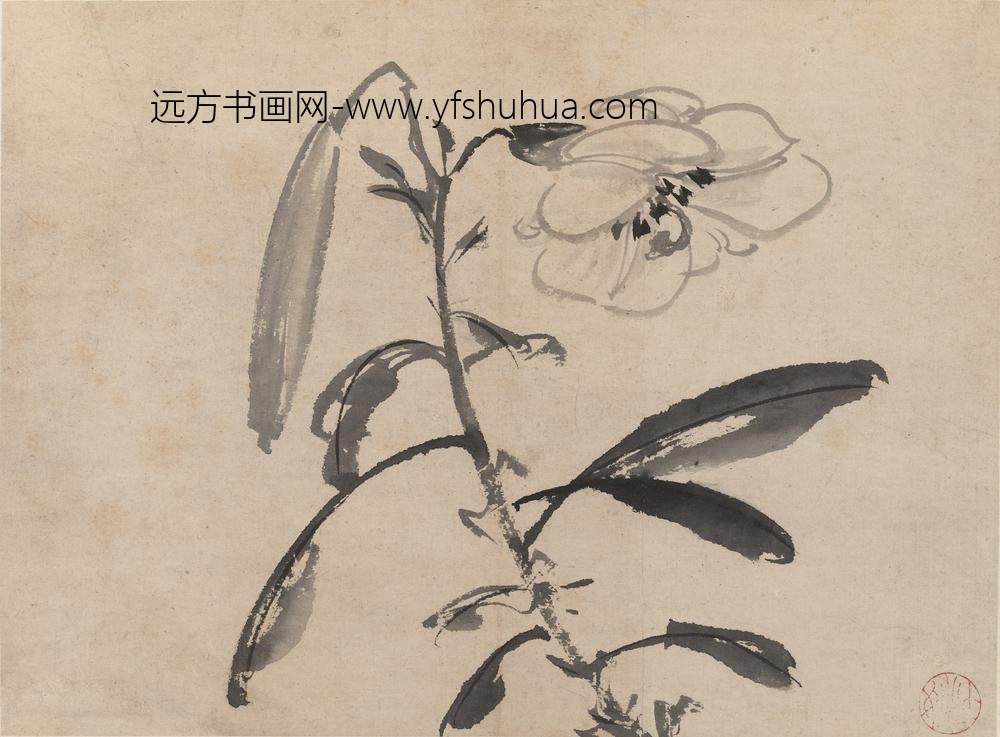 陈淳（道复）_墨花图册_