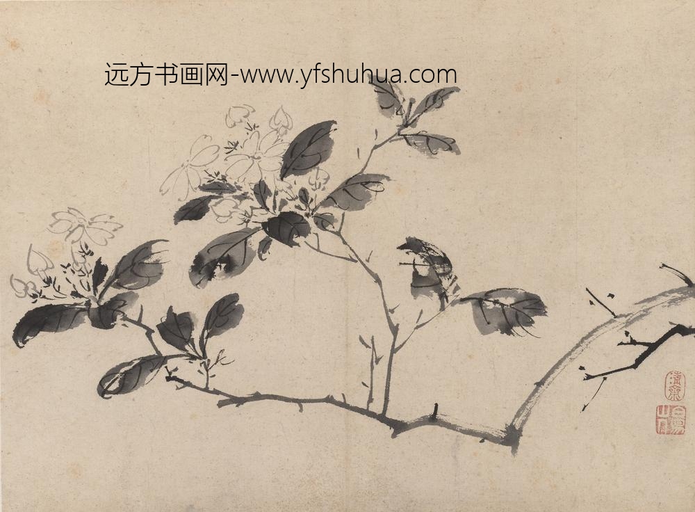 陈淳（道复）_墨花图册_