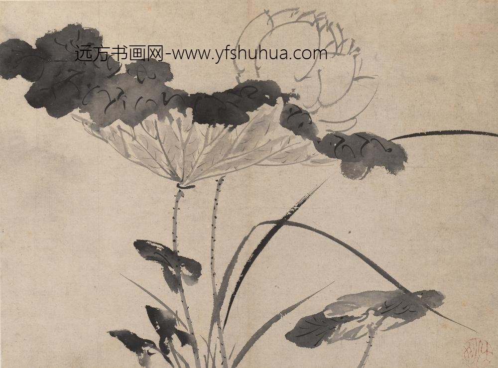 陈淳（道复）_墨花图册_