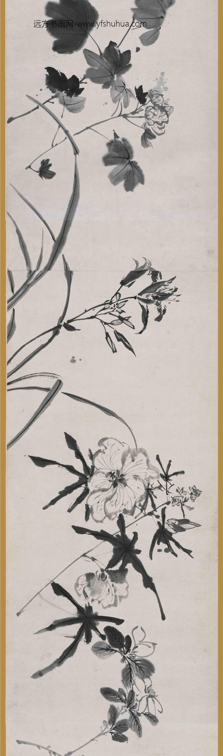 陈淳（道复）_墨花图卷_