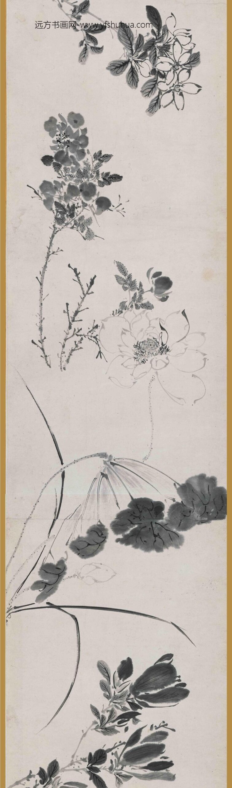 陈淳（道复）_墨花图卷_