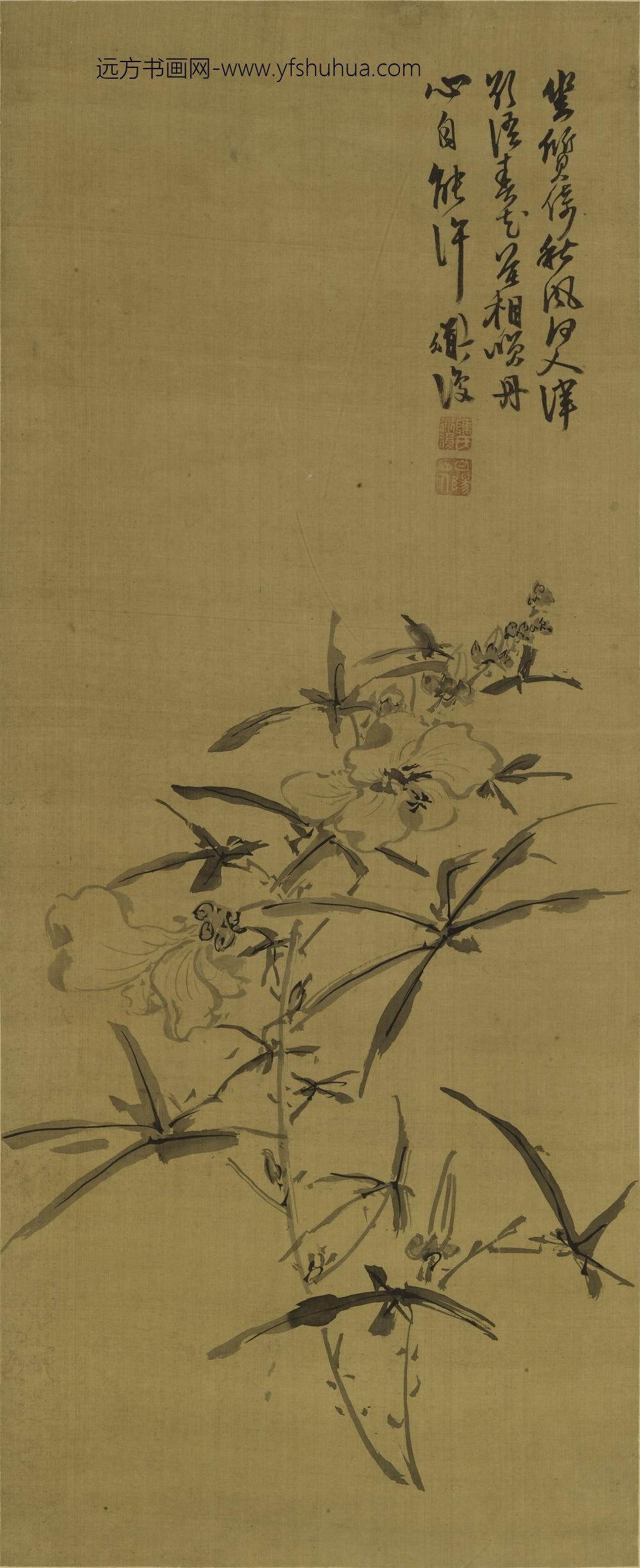 陈淳（道复）_秋葵图轴