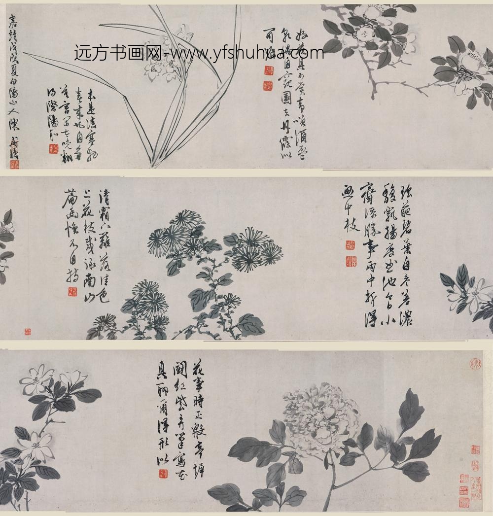 陈淳（道复）_花卉卷