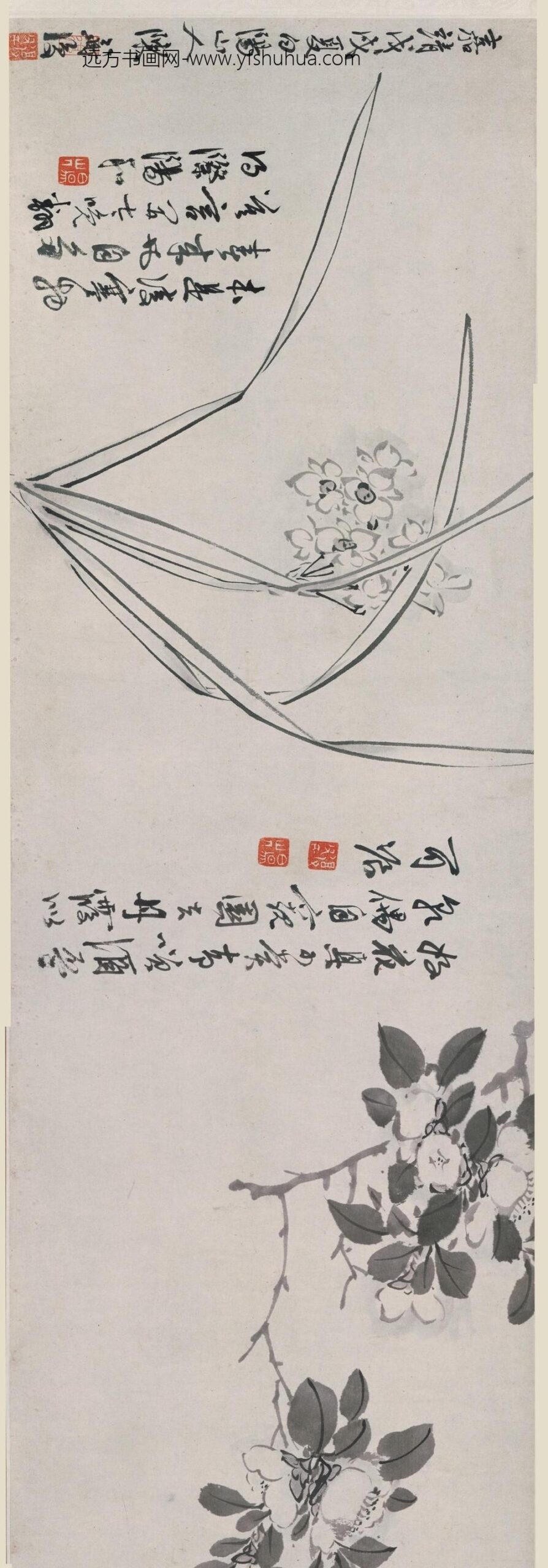 陈淳（道复）_花卉卷_