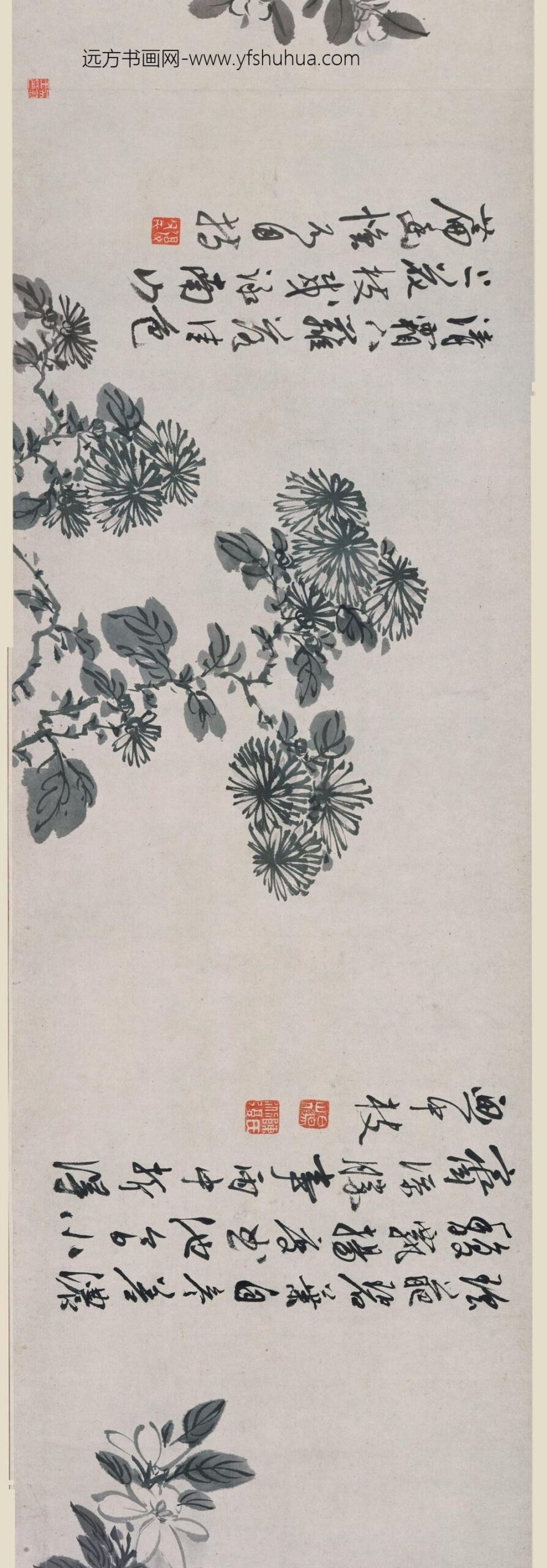 陈淳（道复）_花卉卷_