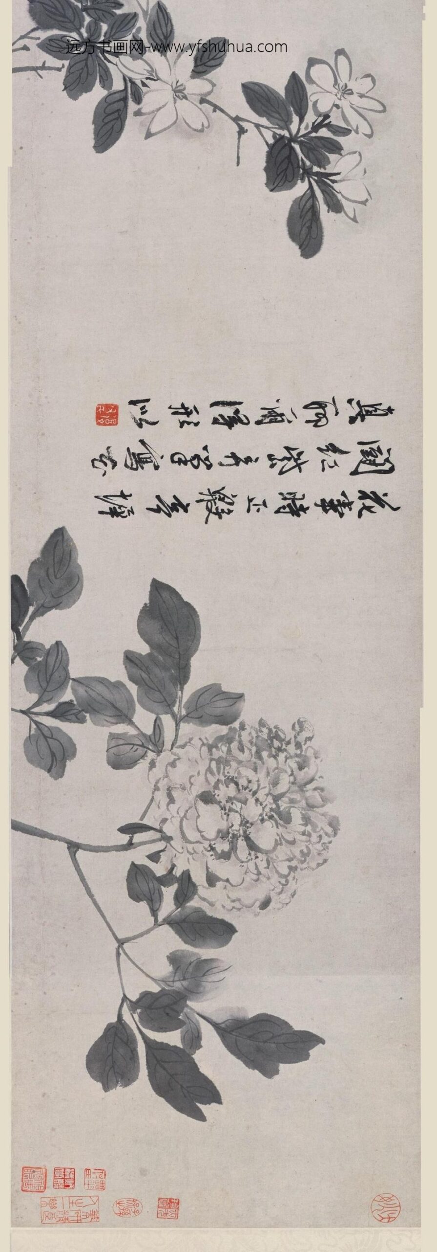 陈淳（道复）_花卉卷_