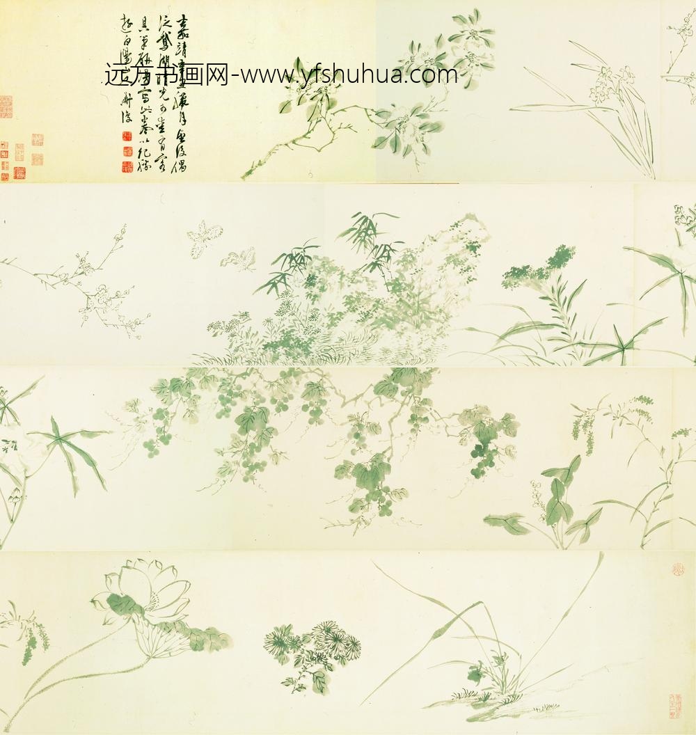 陈淳（道复）_花卉图卷-