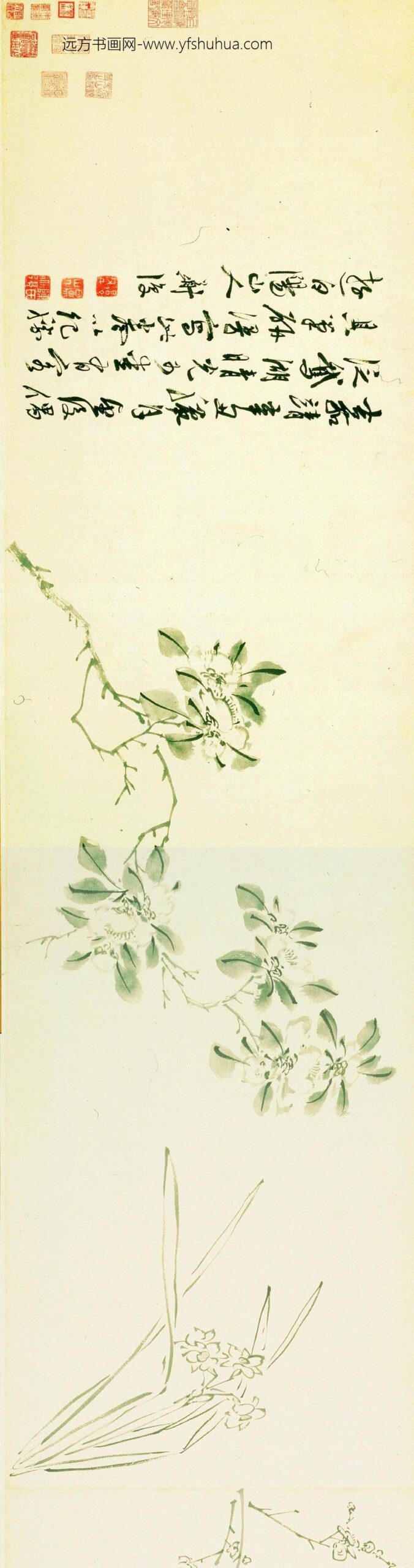 陈淳（道复）_花卉图卷-_