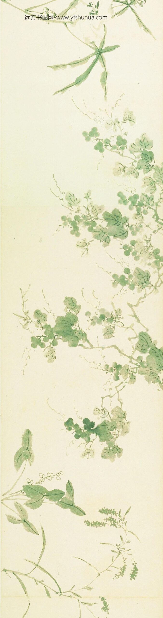 陈淳（道复）_花卉图卷-_