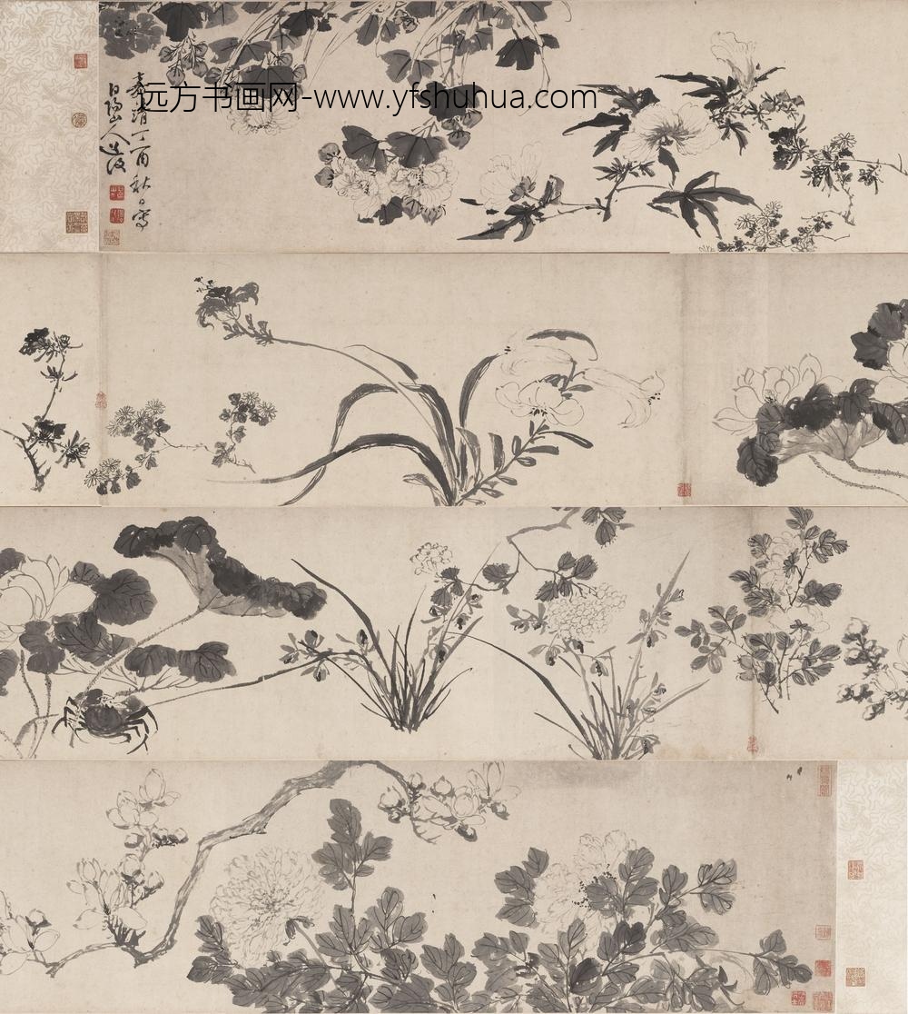 陈淳（道复）_花卉图卷-