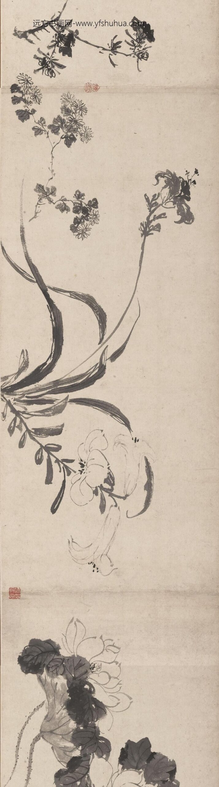 陈淳（道复）_花卉图卷-_