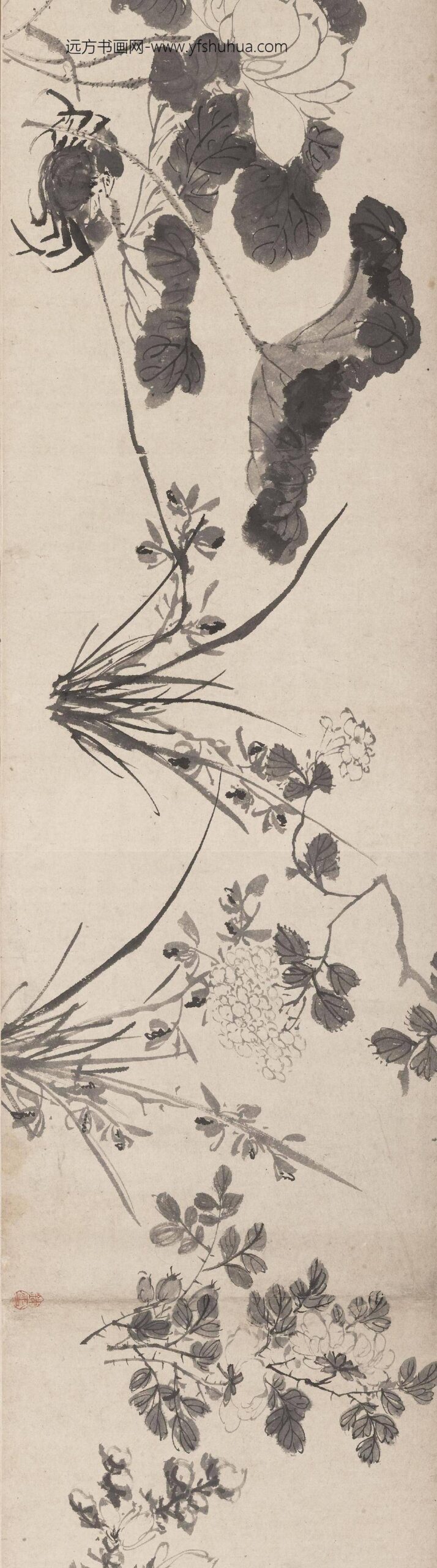 陈淳（道复）_花卉图卷-_