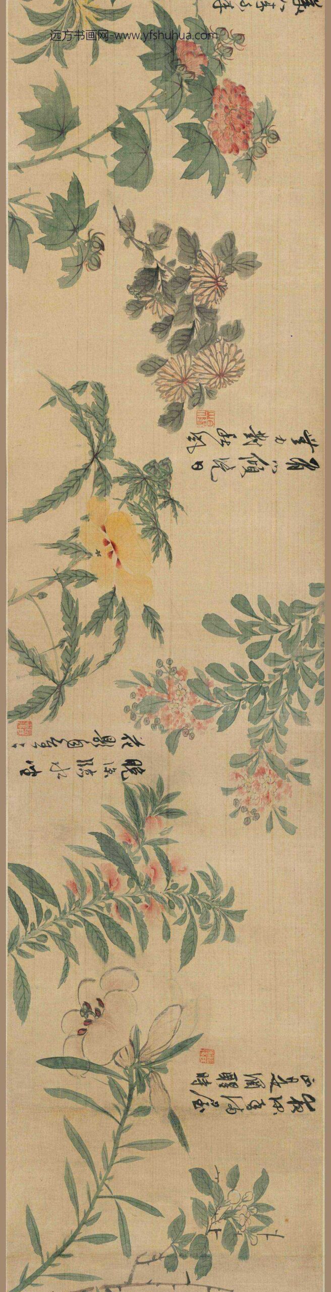 陈淳（道复）_花卉图卷-_