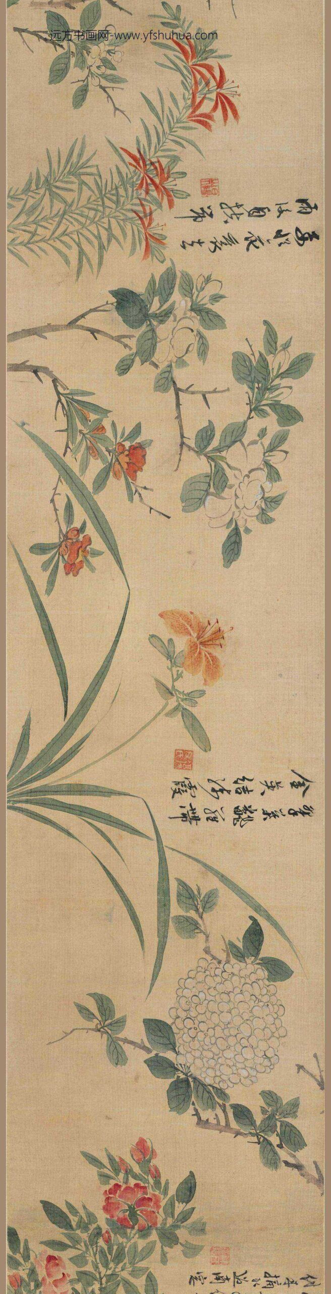 陈淳（道复）_花卉图卷-_