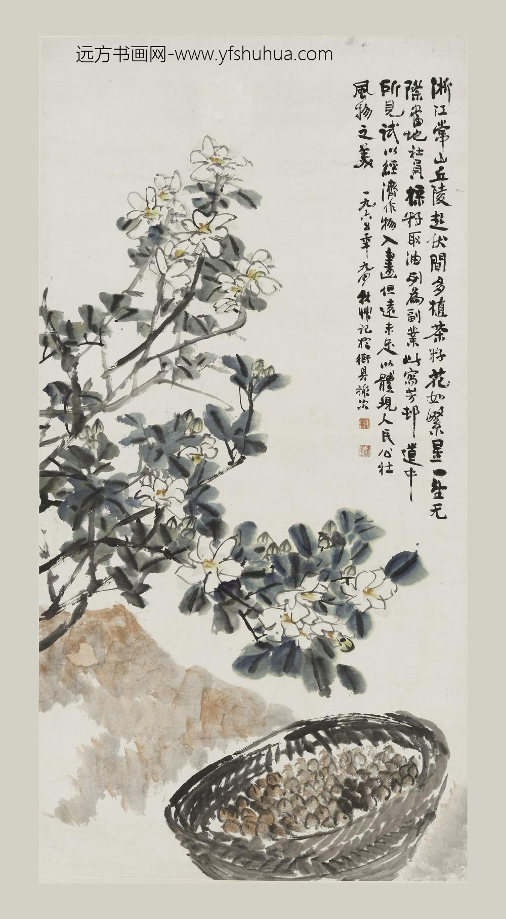 陈秋草_茶籽花图轴