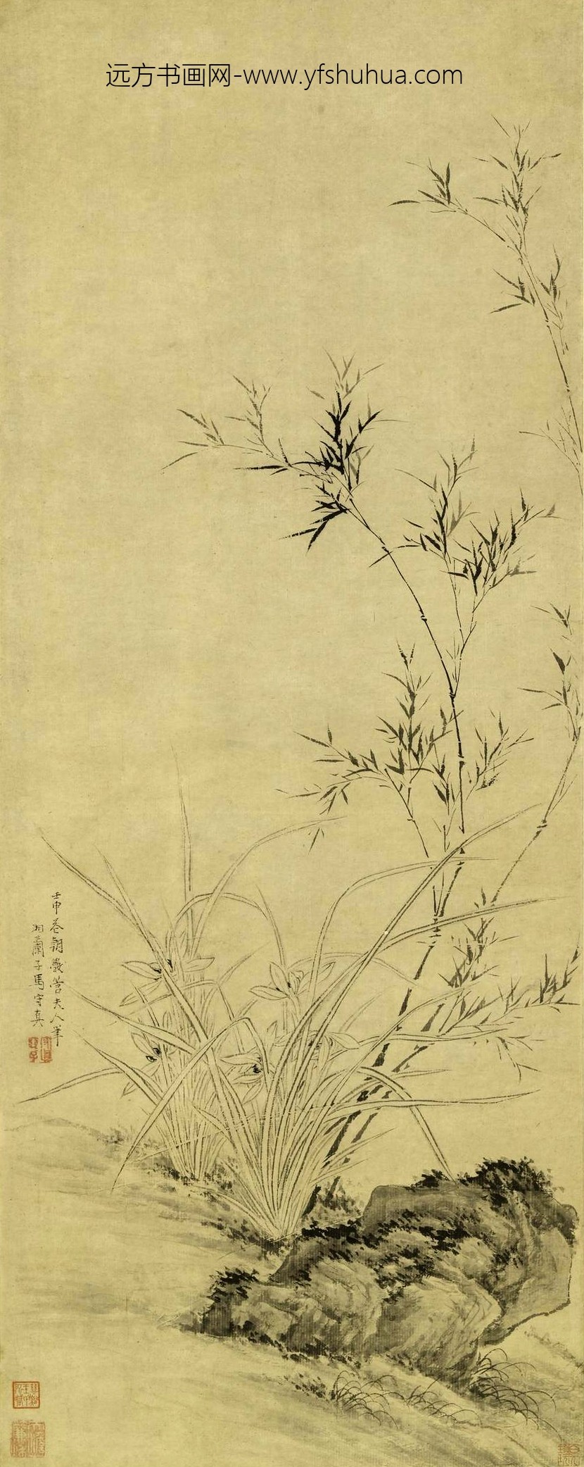 马守真_仿管道昇墨兰轴