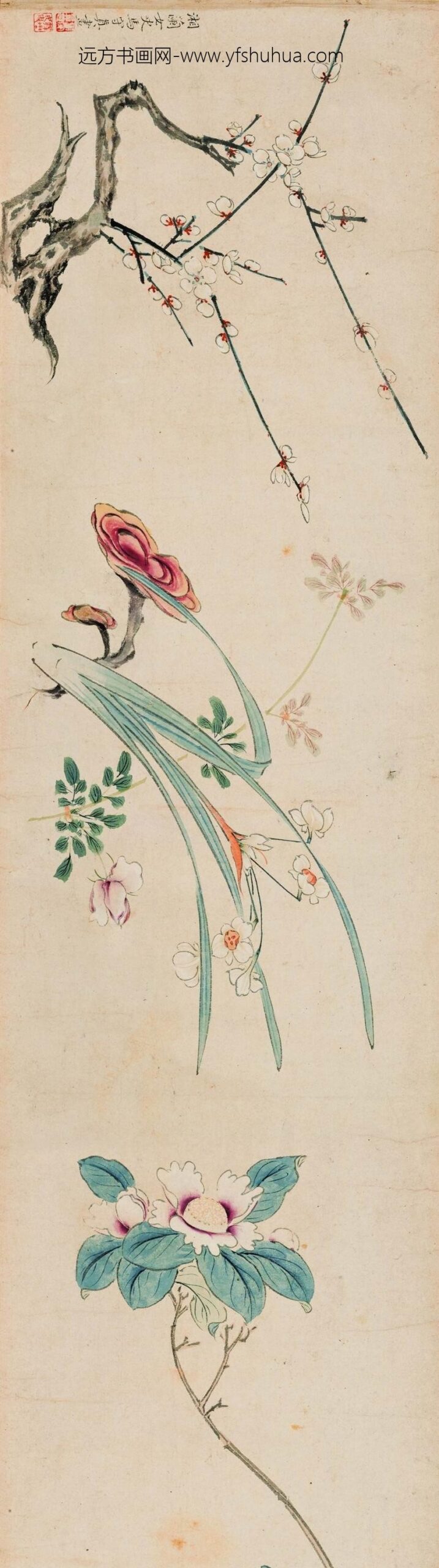 马守真_花卉卷_