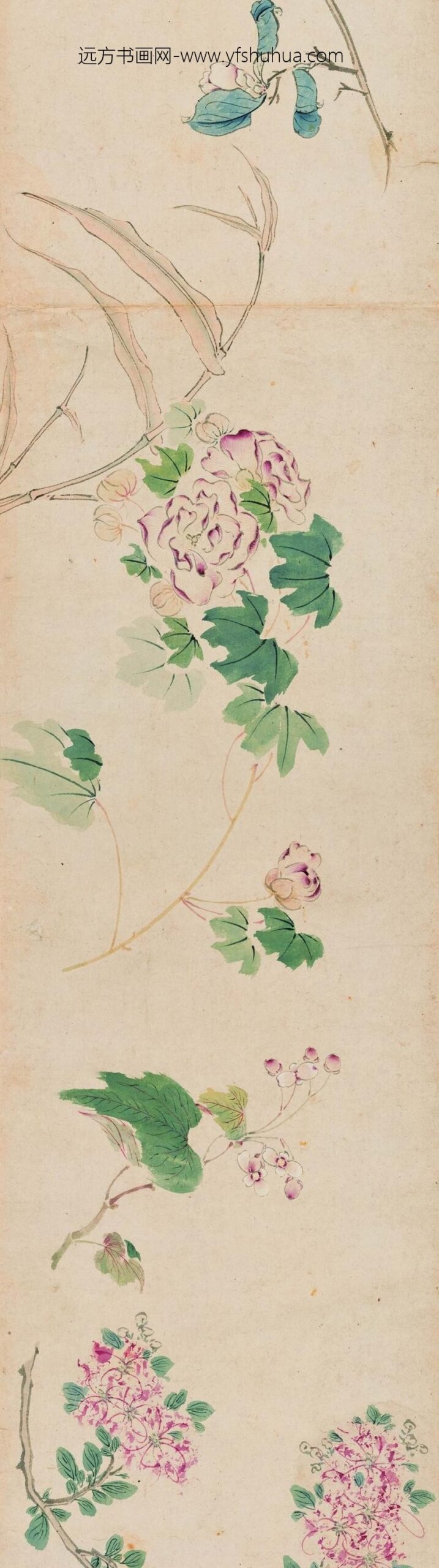 马守真_花卉卷_