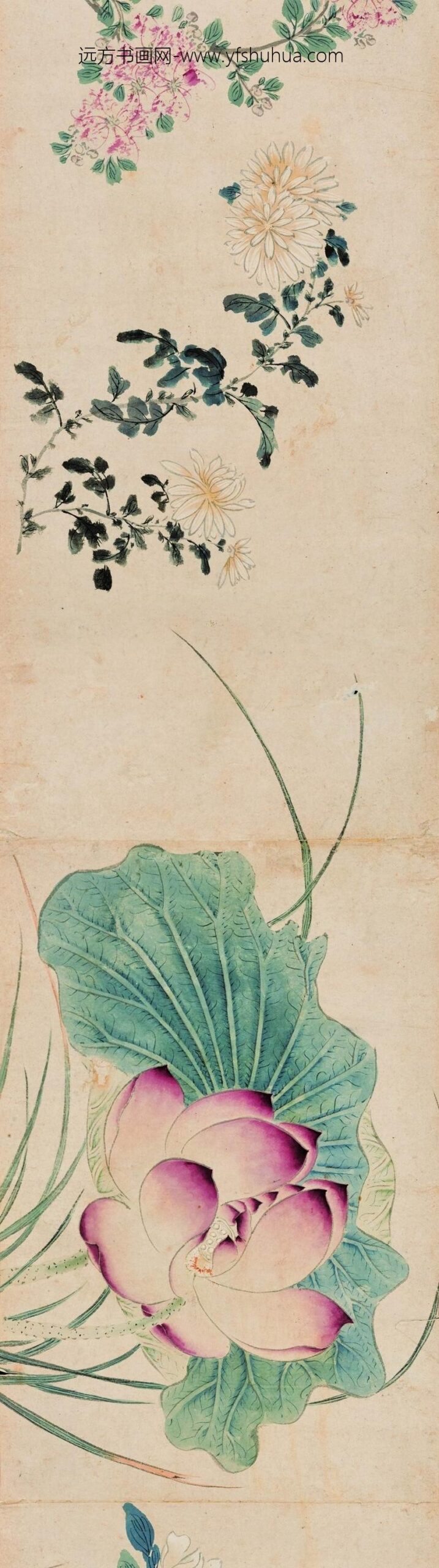 马守真_花卉卷_