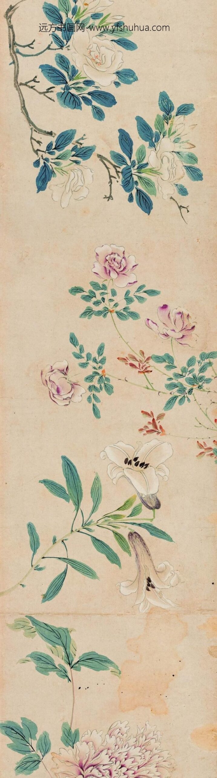 马守真_花卉卷_