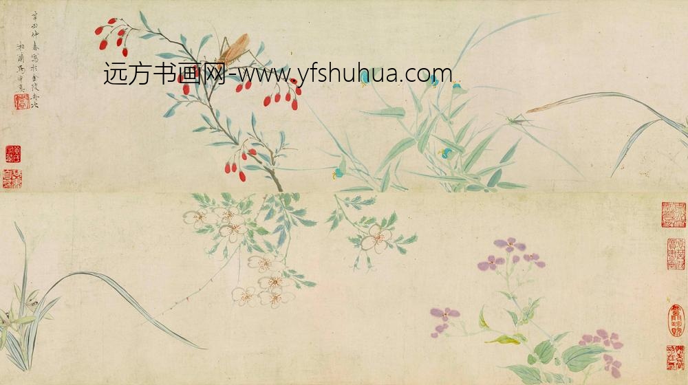 马守真_花卉草虫图卷