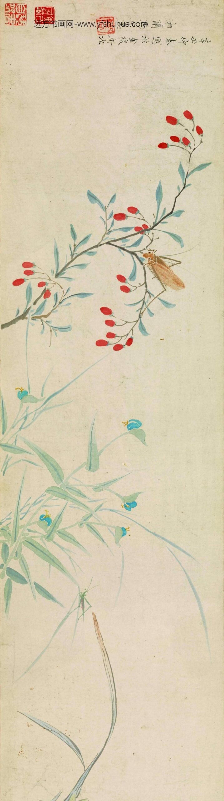 马守真_花卉草虫图卷_