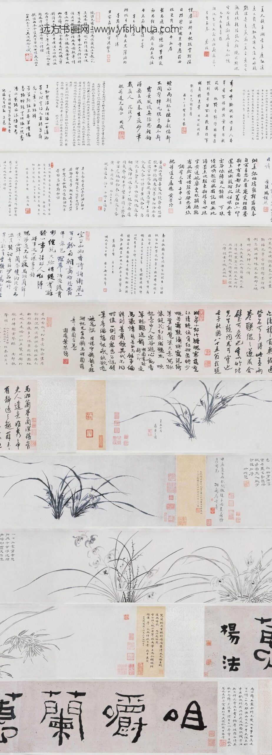 马守真_薛素素兰花图卷